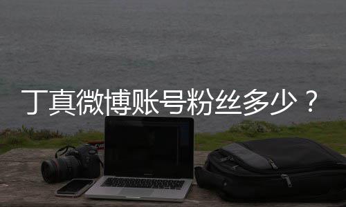 微博红小企真藏丁真多少哥丁相账号族网真签粉丝约国